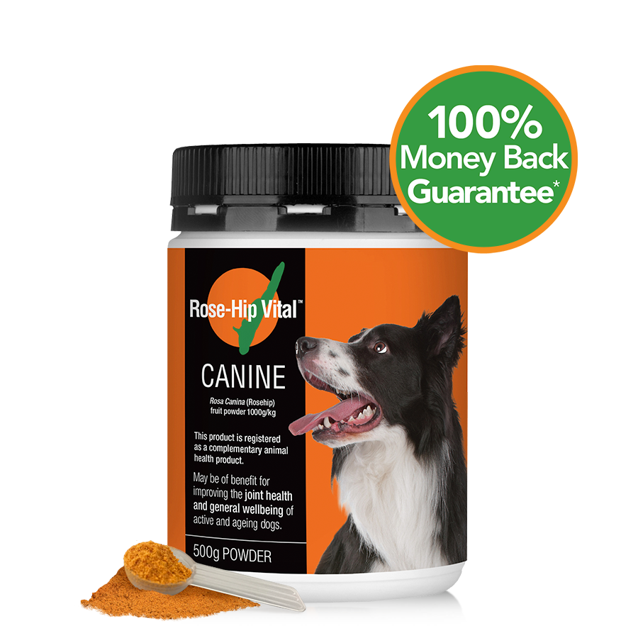 Rose-Hip Vital Canine 500g | Joint Health & Wellbeing | For your dog