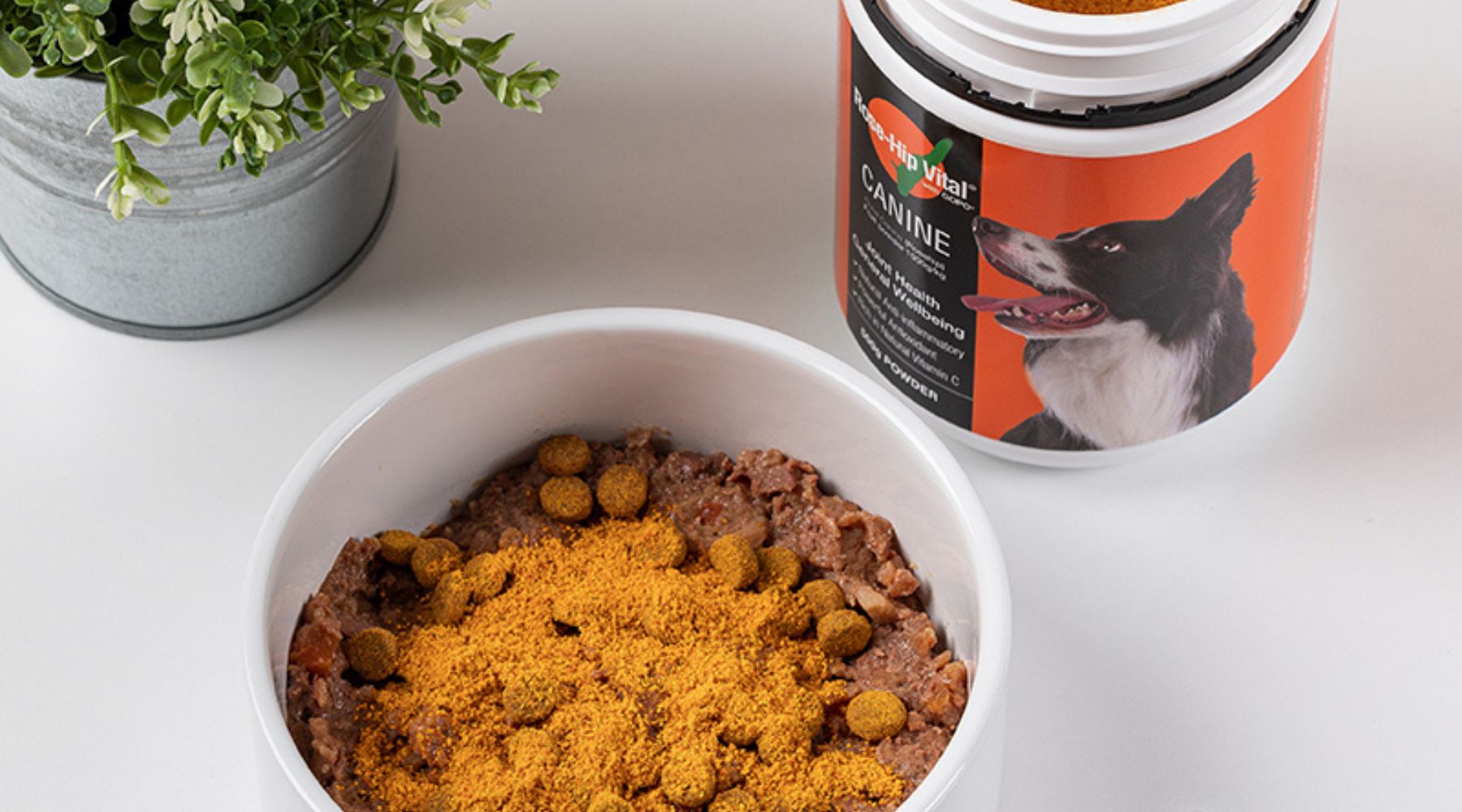 Dog food bowl topped with Rose-Hip Vital Canine supplement powder