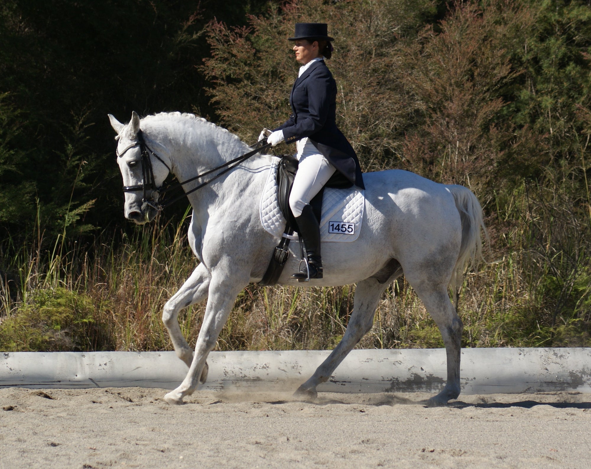 Catalina Florimo on Rose-Hip Vital Equine