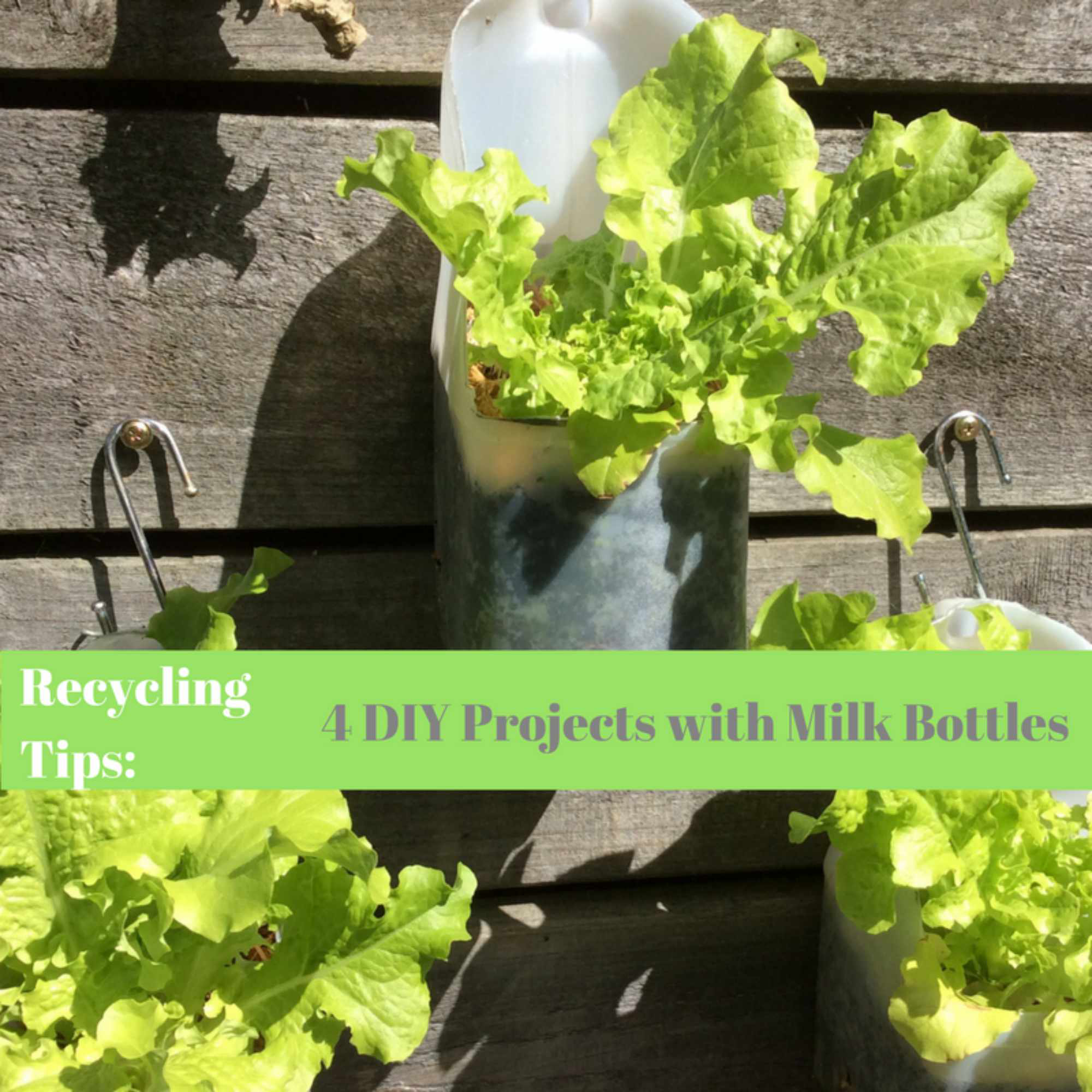 Recycling Tips Diy Projects With Milk Bottles
