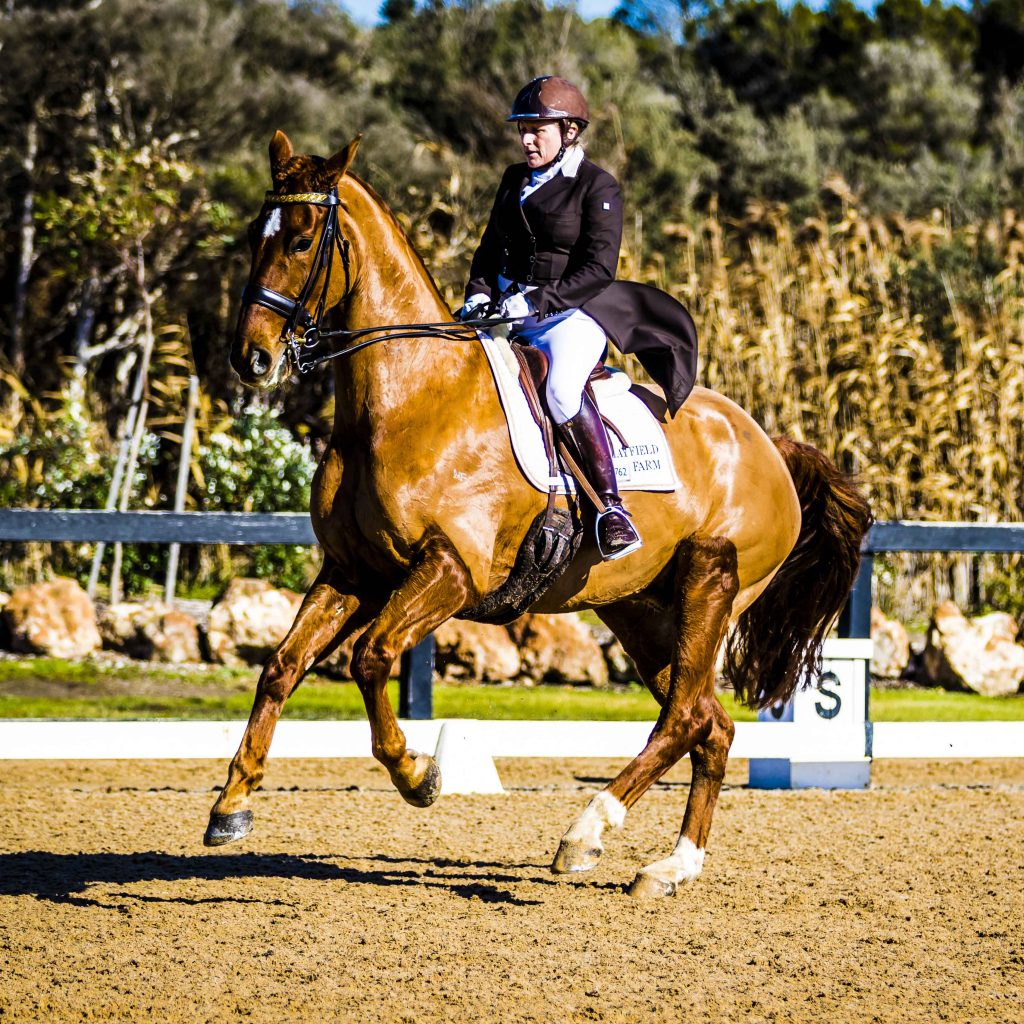 How is Rose-Hip Vital helping Kerry Mack and her horses?