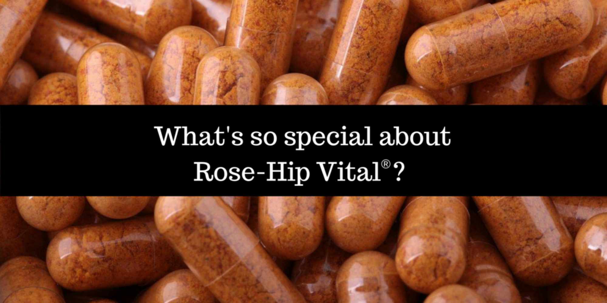 Whats So Special About Rose Hip Vital 2