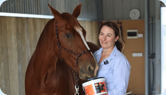 Early Signs of Joint Problems in Horses