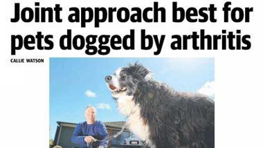 Adelaide Advertiser Rose-Hip Vital Canine