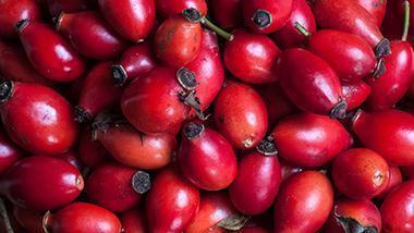 What are the ingredients of Rose-Hip Vital? 