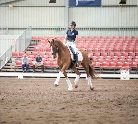 Rebecca Williams-O'Brien Rose-Hip Vital Equine