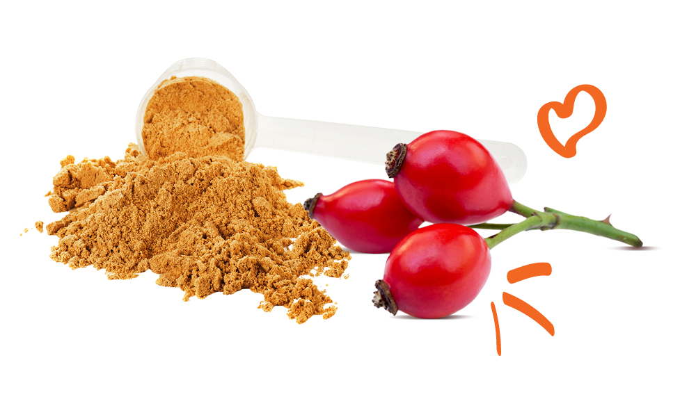 Rosehip powder with a scoop, red berries, and a heart symbol on a white background