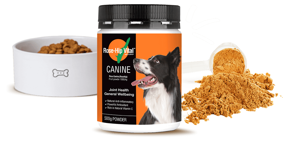Rose Hip Vital Canine supplement bottle with a dog on the label, surrounded by dog food and a bowl.