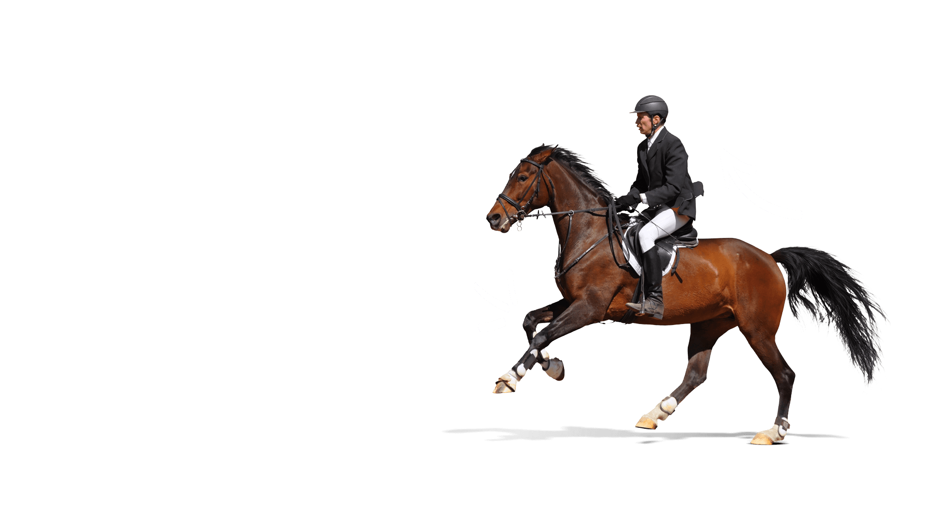 Model horse and rider on a black background
