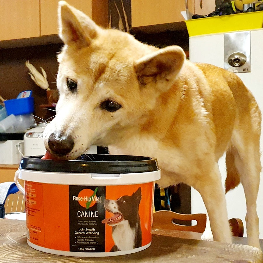 Rose-Hip Vital Canine 1.5kg