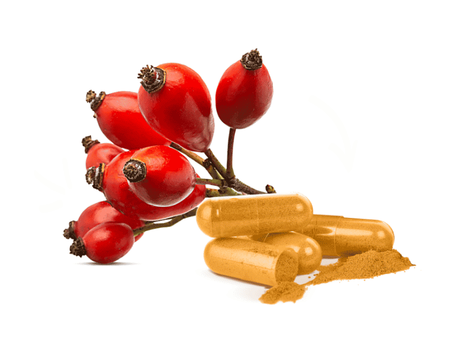 Rosehip berries with a branch on a black background, next to Rose-Hip Vital Capsules