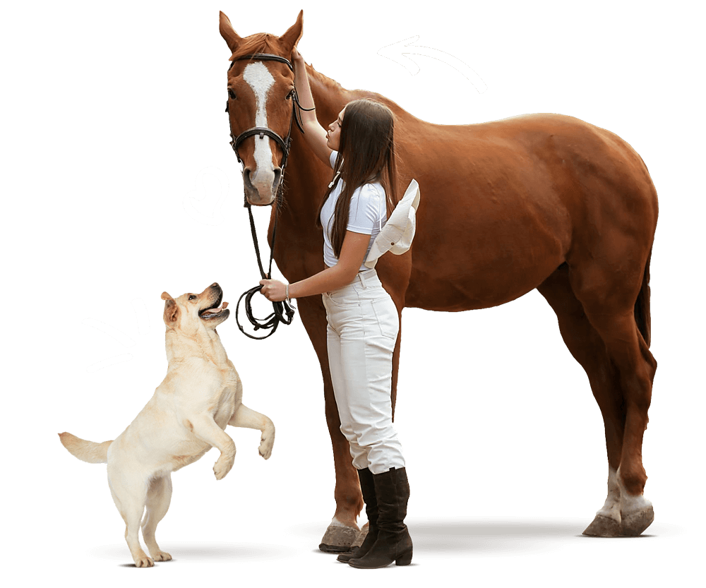 Woman with a horse and a dog on a black background