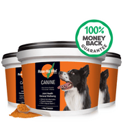 Rose-Hip Vital Canine supplement containers with a money-back guarantee badge on a white background