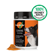 Rose-Hip Vital Canine supplement jar with a dog on the label and a money-back guarantee badge.