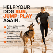Man in a wetsuit running with a dog on a beach, promoting natural joint pain relief for dogs.
