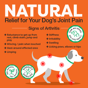 Advertisement for natural relief for dog joint pain with a diagram of a dog and arthritis signs on an orange background.