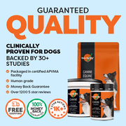 Rose-Hip Vital pet supplement packages with promotional text on a light blue background