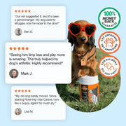 Dog wearing sunglasses with a product container, surrounded by customer testimonials and brand logos on a light blue background.