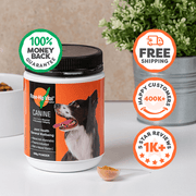 Rose-Hip Vital dog supplement container with promotional graphics on a neutral background