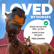 Horses with a product labeled 'LOVED BY HORSES' against a blue sky.
