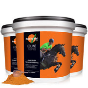 Rose Hip Vital Equine supplement container with a person riding a horse on an orange background