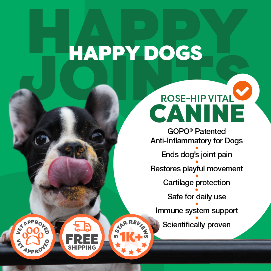 Advertisement for &#39;Happy Dogs&#39; Rose-Hip Vital Canine supplement with a dog on a green background.
