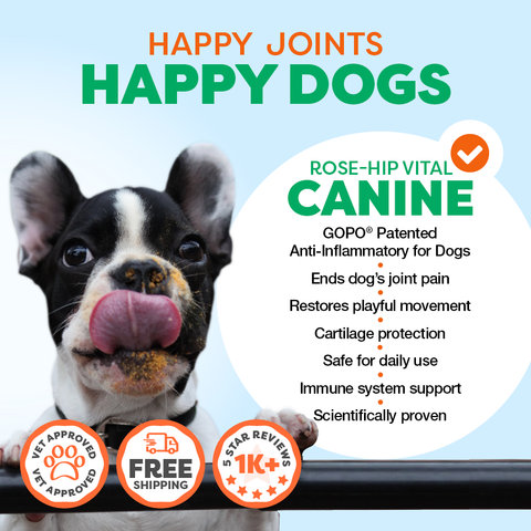 Advertisement for 'Happy Joints Happy Dogs' canine supplement with a dog licking its chops on a light blue background.