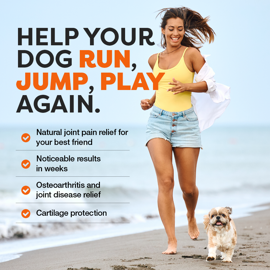 Woman running on a beach with a dog, promoting natural joint pain relief for dogs.