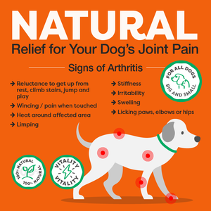 Advertisement for natural relief for dog joint pain with a list of arthritis signs and a dog illustration on an orange background.