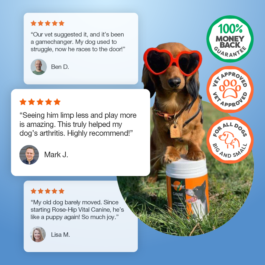 Dog wearing sunglasses with a product container, surrounded by customer reviews and brand logos on a blue background.