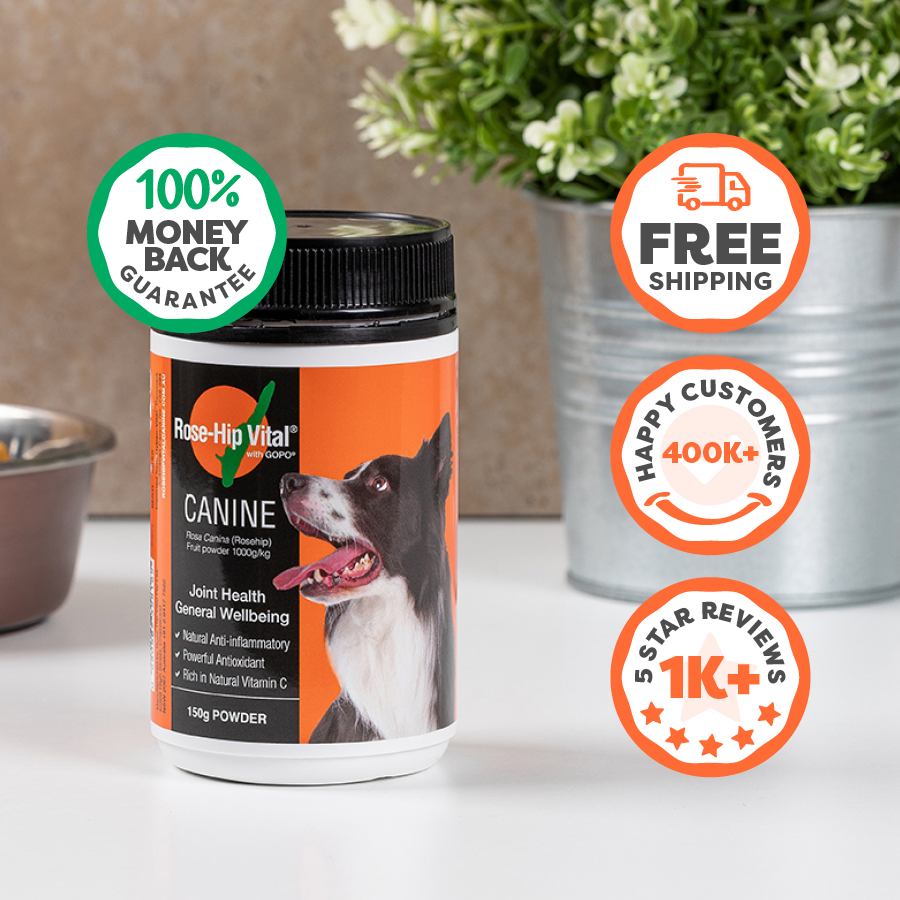 Dog supplement container with promotional graphics on a white surface