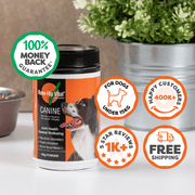 A jar of Rose-Hip Vital Canine Joint Health General Wellness dog supplement powder, shown on a white surface with promotional badges and a blurred potted plant in the background.