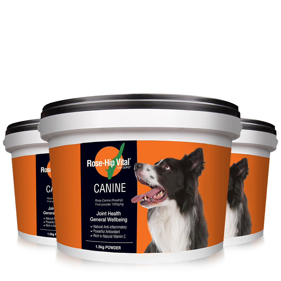 Canine 1.5kg - Triple Pack