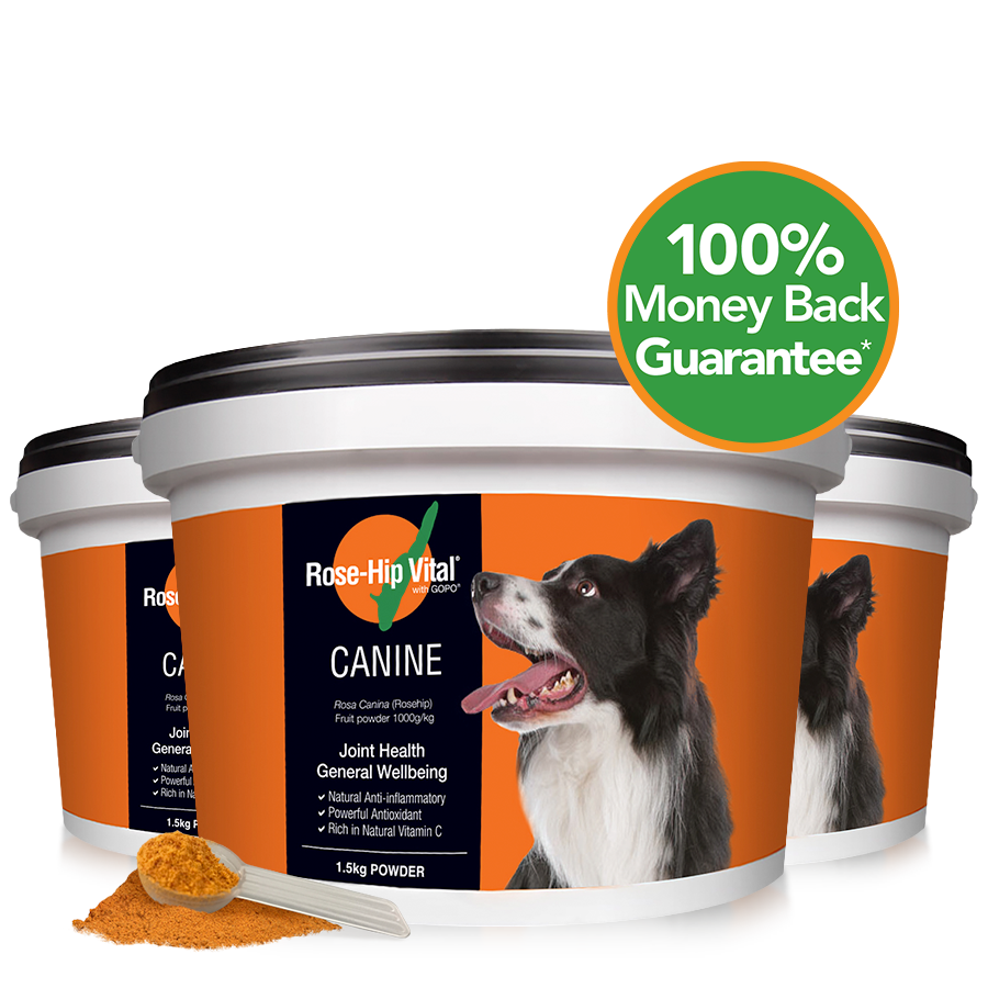 Canine 1.5kg - Triple Pack