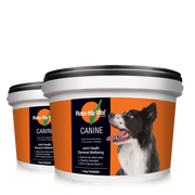 Two containers of Rose-Hip Vital Canine joint health supplement for dogs, with an image of a dog on the label.