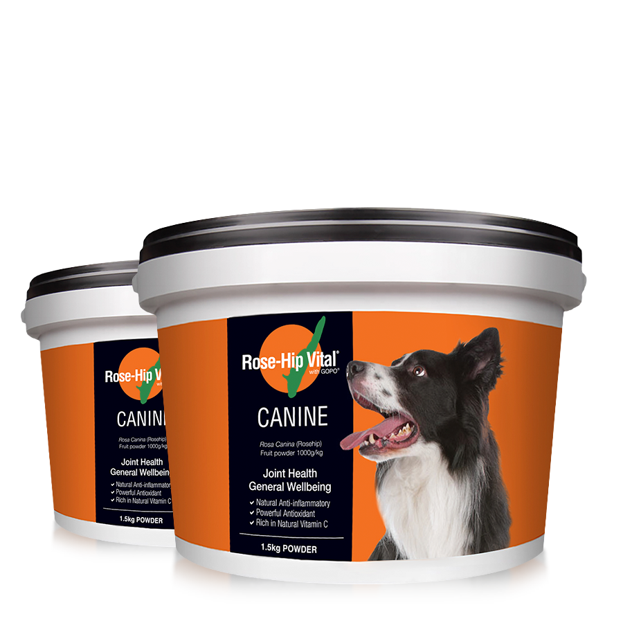 Canine 1.5kg - Twin Pack