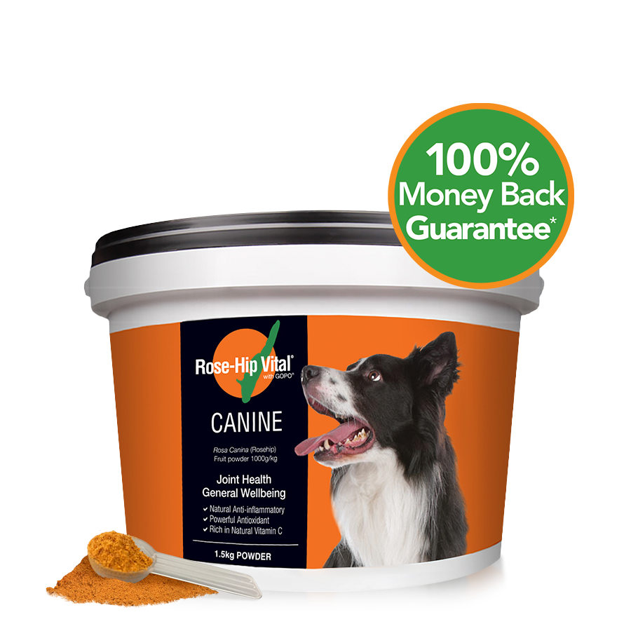 Rose-Hip Vital Canine 1.5kg | Joint Health & General Wellbeing | For your dog