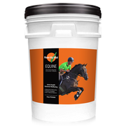rosehip vital for horses